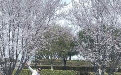 个人艺术写真18888